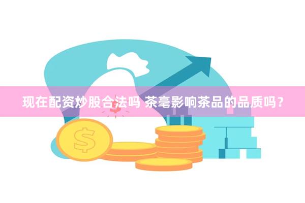 现在配资炒股合法吗 茶毫影响茶品的品质吗？