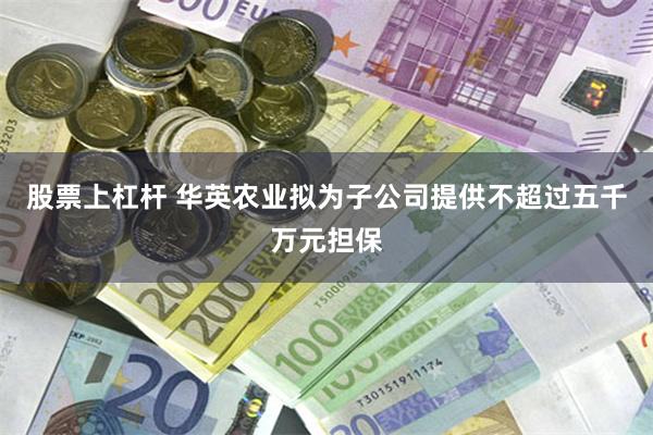 股票上杠杆 华英农业拟为子公司提供不超过五千万元担保