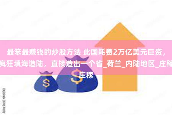 最笨最赚钱的炒股方法 此国耗费2万亿美元巨资，疯狂填海造陆，直接造出一个省_荷兰_内陆地区_庄稼