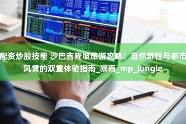 配资炒股技能 沙巴吉隆坡旅游攻略：自然野性与都市风情的双重体验指南_暴雨_mp_Jungle