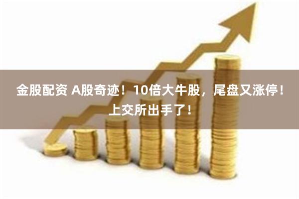 金股配资 A股奇迹！10倍大牛股，尾盘又涨停！上交所出手了！