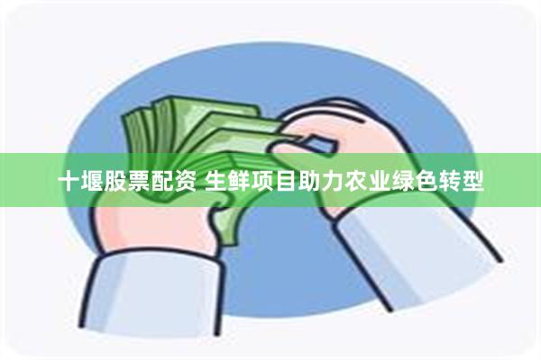 十堰股票配资 生鲜项目助力农业绿色转型