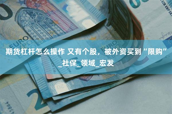 期货杠杆怎么操作 又有个股，被外资买到“限购”_社保_领域_宏发