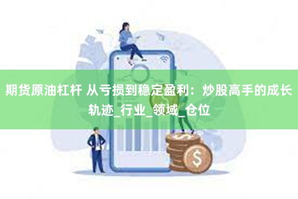 期货原油杠杆 从亏损到稳定盈利：炒股高手的成长轨迹_行业_领域_仓位