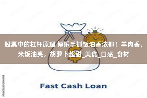 股票中的杠杆原理 博乐手抓饭油香浓郁！羊肉香，米饭油亮，胡萝卜超甜_美食_口感_食材