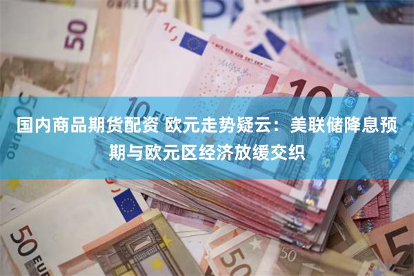 国内商品期货配资 欧元走势疑云：美联储降息预期与欧元区经济放缓交织