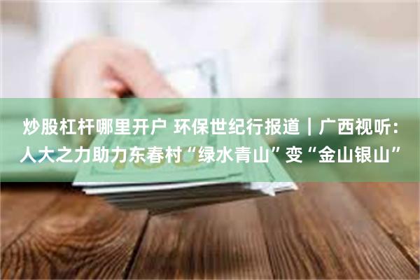 炒股杠杆哪里开户 环保世纪行报道｜广西视听：人大之力助力东春村“绿水青山”变“金山银山”